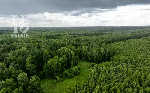 Участок 90 сот.
