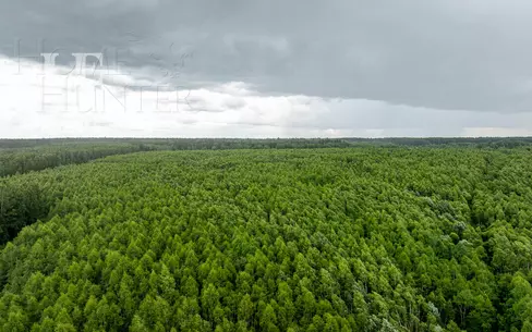 Участок 90 сот.
