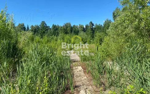 Участок 80 сот.