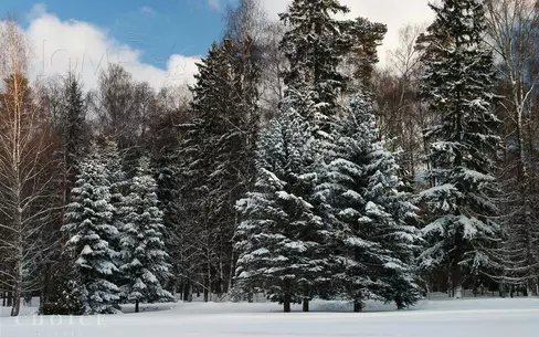 Участок 117 сот. в охраняемом поселке