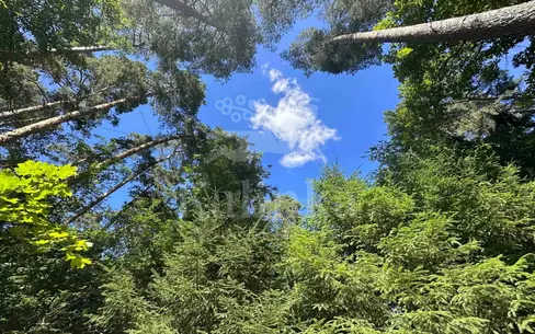 Участок 29 сот. в охраняемом поселке