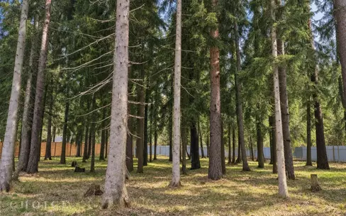 Участок 42 сот.