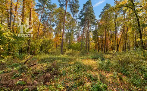 Участок 25 сот.