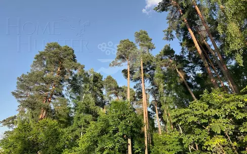 Участок 117 сот.