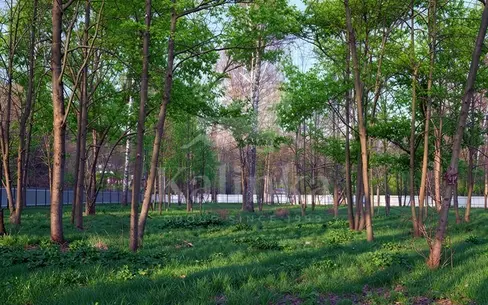 Участок 120.6 сот.