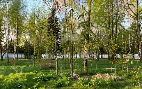 Участок 120.6 сот.