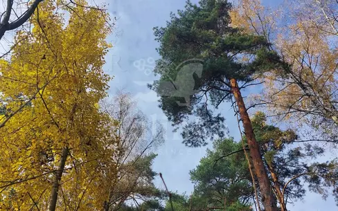 Участок 134 сот. в охраняемом поселке