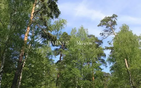 Участок 42 сот.
